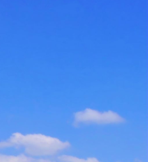 石榴创意画教案