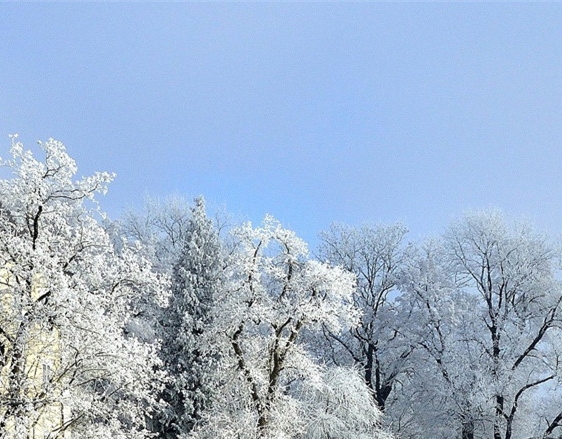 龙脊雪山核心是干嘛的