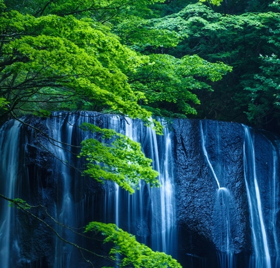 揭秘防水T的黑科技：真假难辨的防水黑科技胶