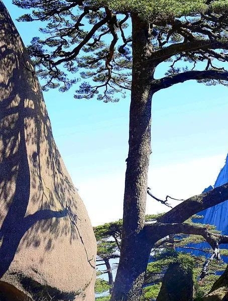 职场妆容特点