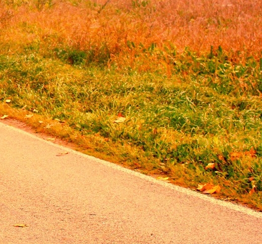 叉子什么意思骂人吗