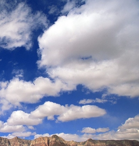 世界小姐冠军中国人有几个