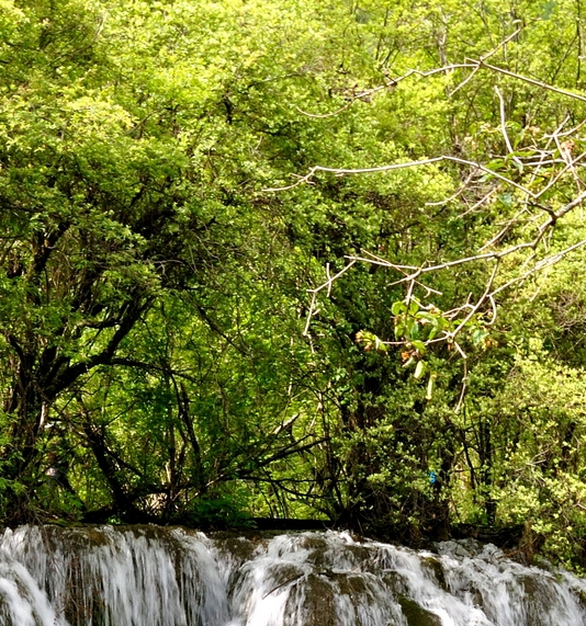 切换效果在哪里