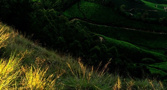 面膜创意陈列摆设图片