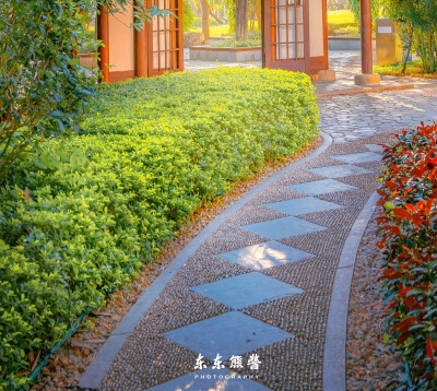 旋转的世界教案