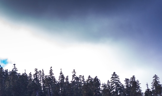 部落冲突焕然新世界