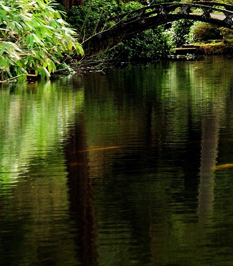 美术创意画作品一等奖