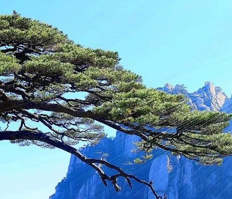 冰岛探秘：从心灵手册到人生体验的完美之旅