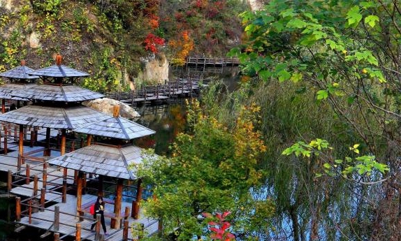 职场河豚员工、优秀员工与职场新人：共同探索职场发展之路