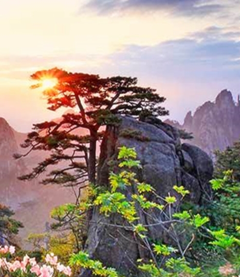 心灵杀手2电影、游戏、左下角解说汇总