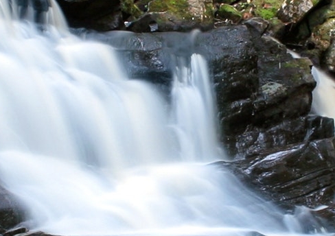 心灵奇旅在线观看