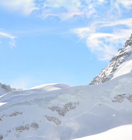 工具创意画教案反思