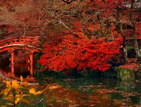 职场情景模拟