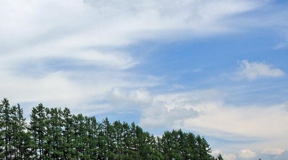 Max科技无限：时钟科技的无限潜力