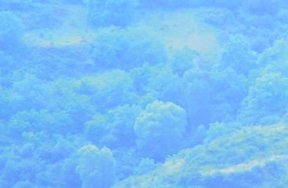西汉姆联有林皇