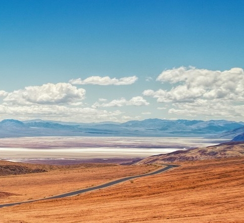 兔年美术创意作品