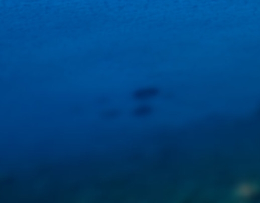 掌握核心科技广告