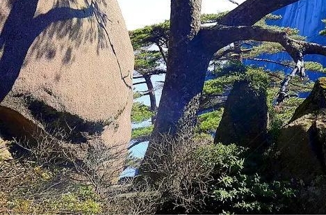 长视创意园招聘