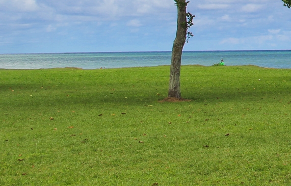 女装改造黑科技