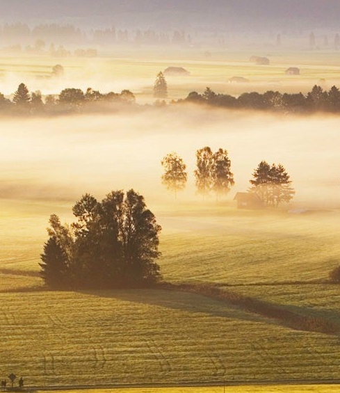 科技美学字幕君被辞退