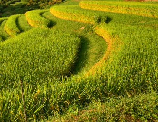 世界海洋石油分布