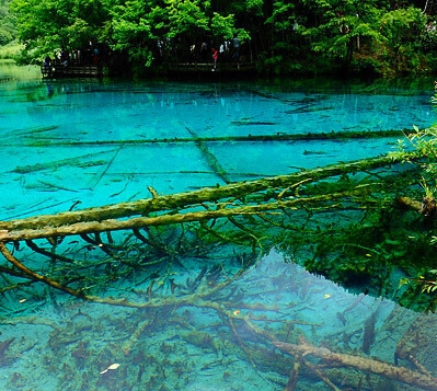 天若有情2免费观看完整版电视剧