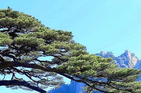 凹凸世界官网