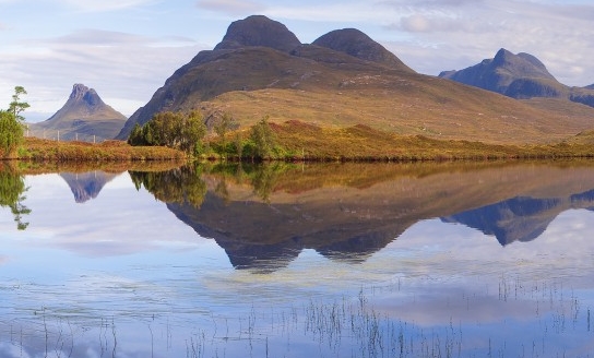 又简单又好看的画