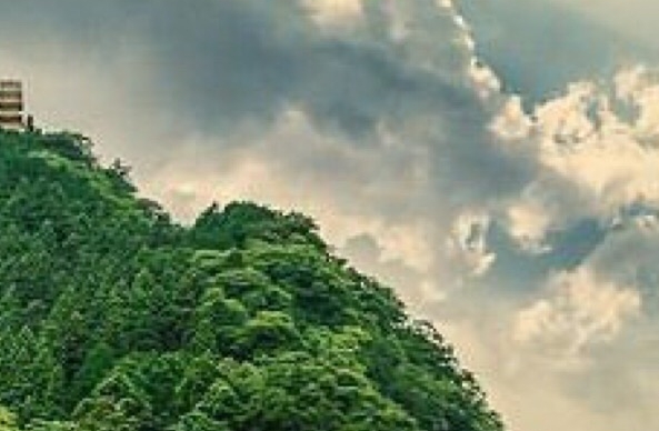 牛年拜年视频创意文案