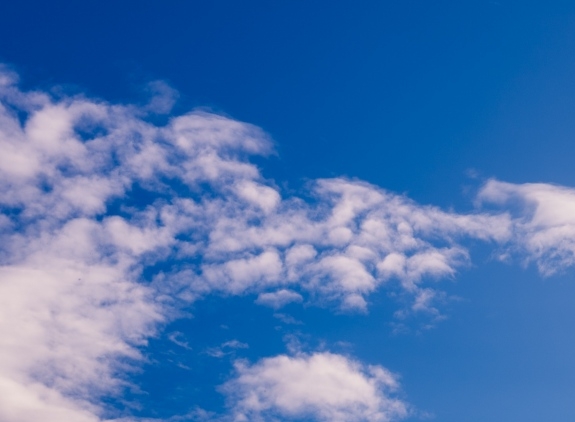 舞狮绘画作品创意说明