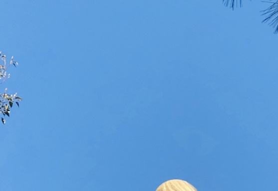 教你正确调节自动机械表日期时间，避免出现走快情况