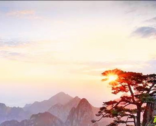 科技布布料纹理图片