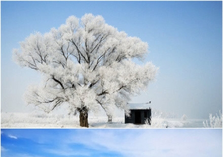 当当网官方旗舰店