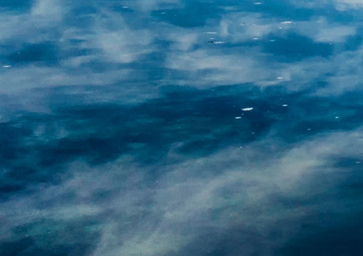 外猛料是什么意思