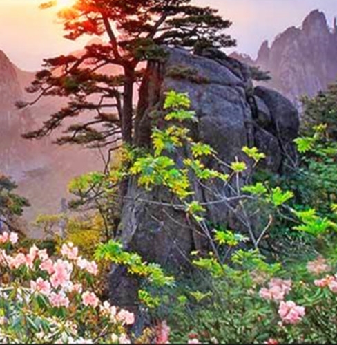 随身带个蛮荒世界