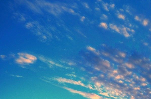 大航海之路最大的老鼠