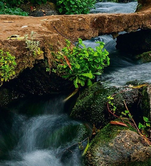 导游证怎么考取需要什么条件
