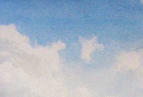 泰晶科技主要客户