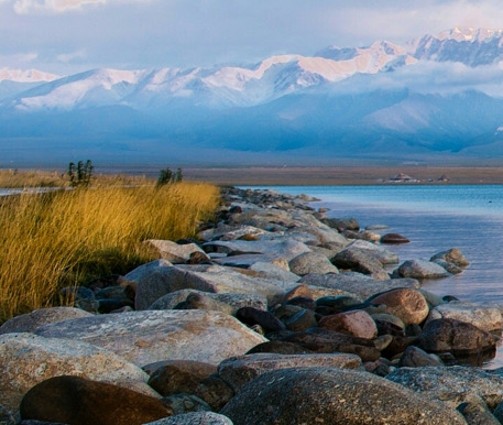 企业资产负债表中的资产项目有哪些