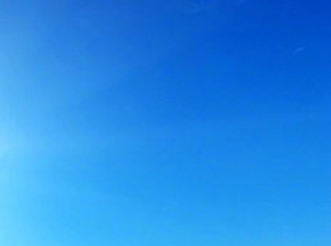 山西大同大黑小黑家