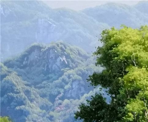 马科斯夫人