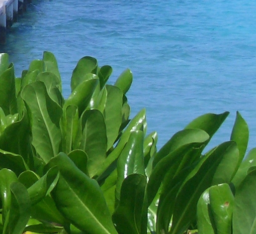 海天科技股票代码