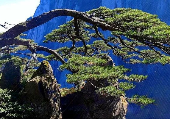 心灵奇旅回地球图片