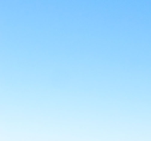 狗品种大全图片名字