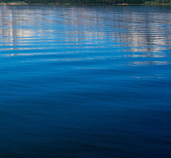 双廊客栈最新急招聘