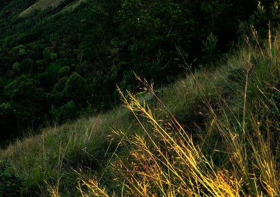 微茗智能科技有限公司怎么样