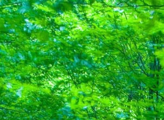 妇女节创意海报