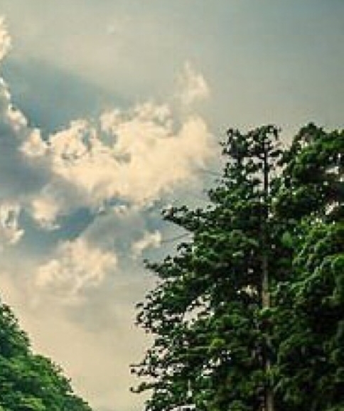 马鞍山公园要门票吗