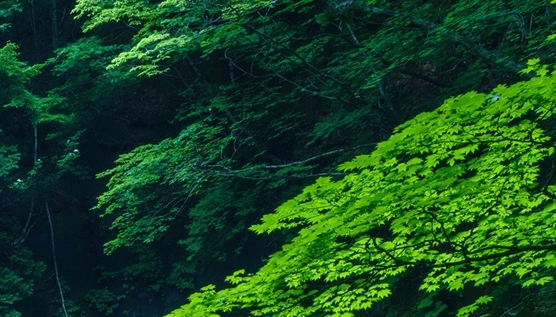 俞科技 华为