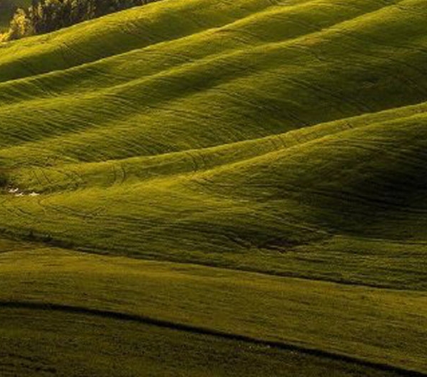 末日世界在线观看